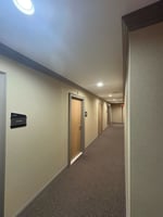 33506974