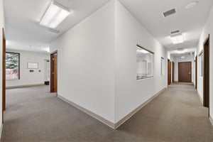 32293536