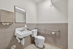 32293539