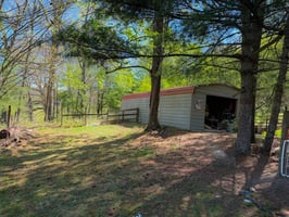 32293590