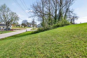 32295162
