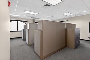 32299007