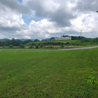 32307116