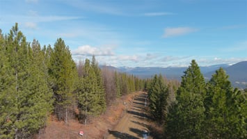 32307609