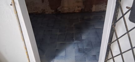 32313581