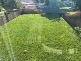 32314336