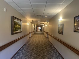 32316452