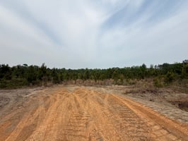 32318068