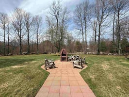 32321425