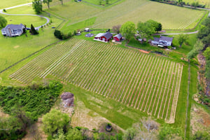 32326428
