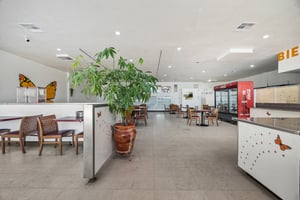 32326981