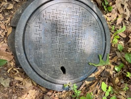 32336376