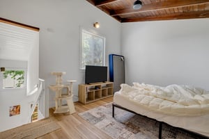 32349092