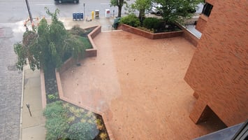 32377491