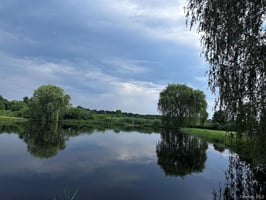 32386033