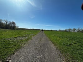 32386034