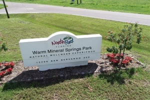 32396991