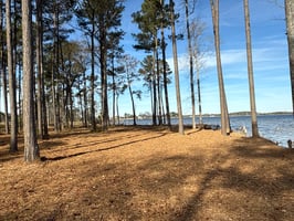 32398212