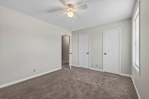 33713162