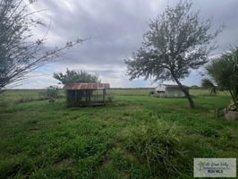 32418661