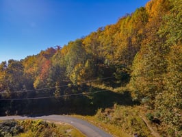 32422491