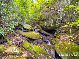 32422555