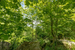 32422751
