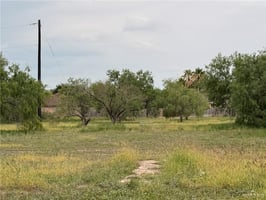 32431620