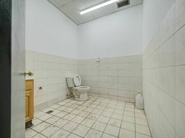 32442653