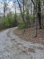 32444603