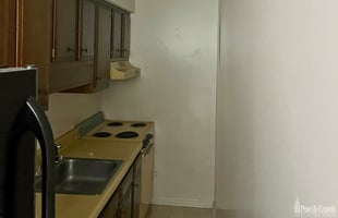 32449231