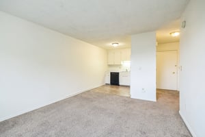 32450259