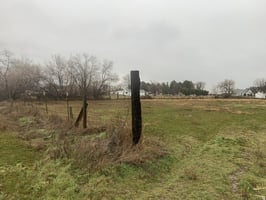 32450096