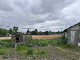 32620363