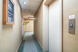 32466231