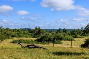 32469839