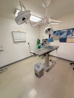 33496209