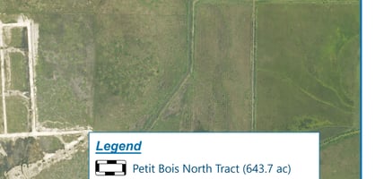 32470035