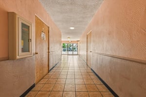32495162
