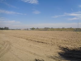 32547621