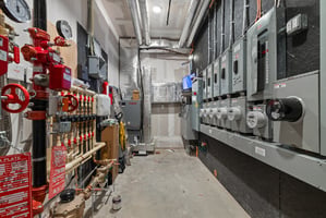 32550051