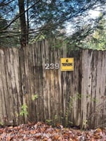 32585877