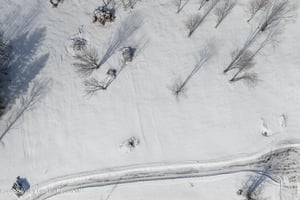 32590041