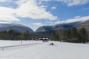 32590044