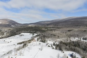 32590038