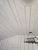 32590117