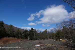 32597480