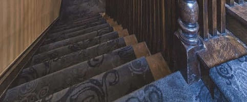 32598519