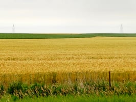 32599085