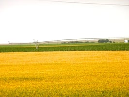 32599083